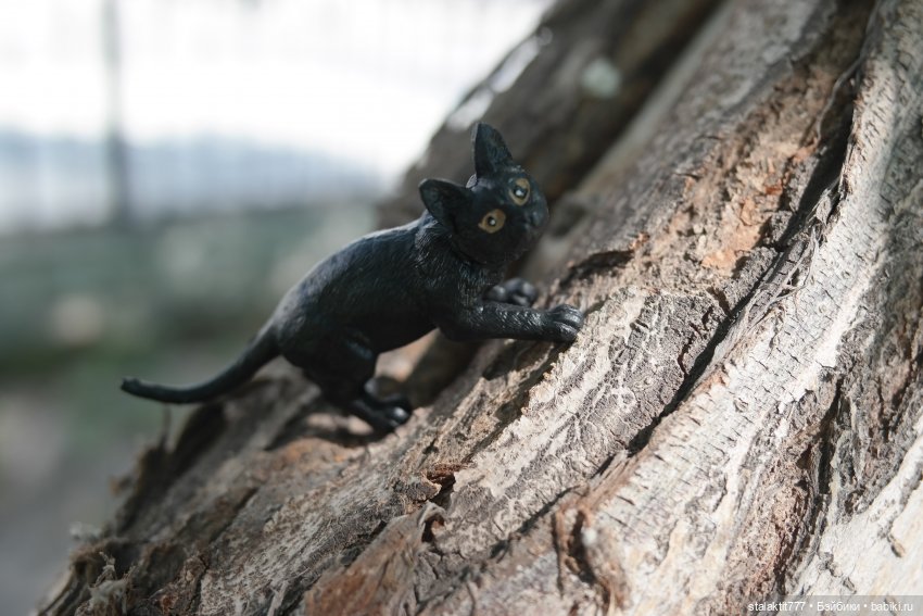 Лиза. Пока сложно — Куклы 5stardoll (5стар): китайские BJD