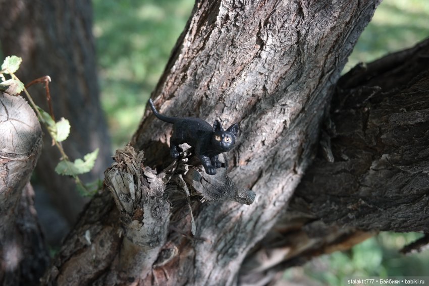 Лиза. Пока сложно — Куклы 5stardoll (5стар): китайские BJD