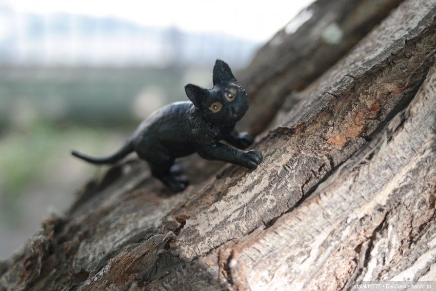 Лиза. Пока сложно — Куклы 5stardoll (5стар): китайские BJD