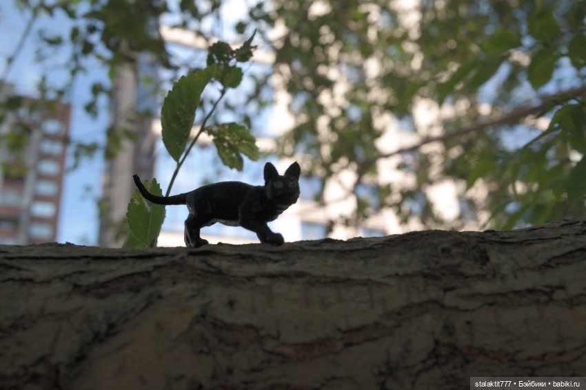 Лиза. Пока сложно — Куклы 5stardoll (5стар): китайские BJD