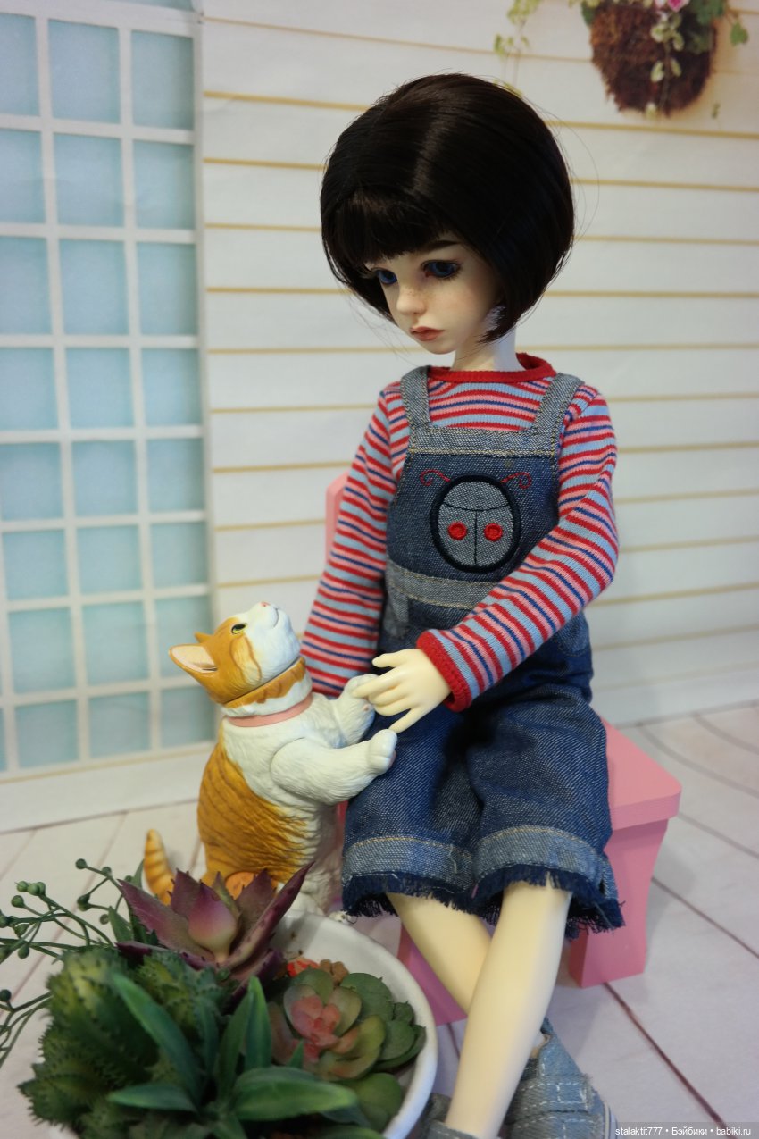 Алиса. Чуть романтичнее. И кот, конечно же кот