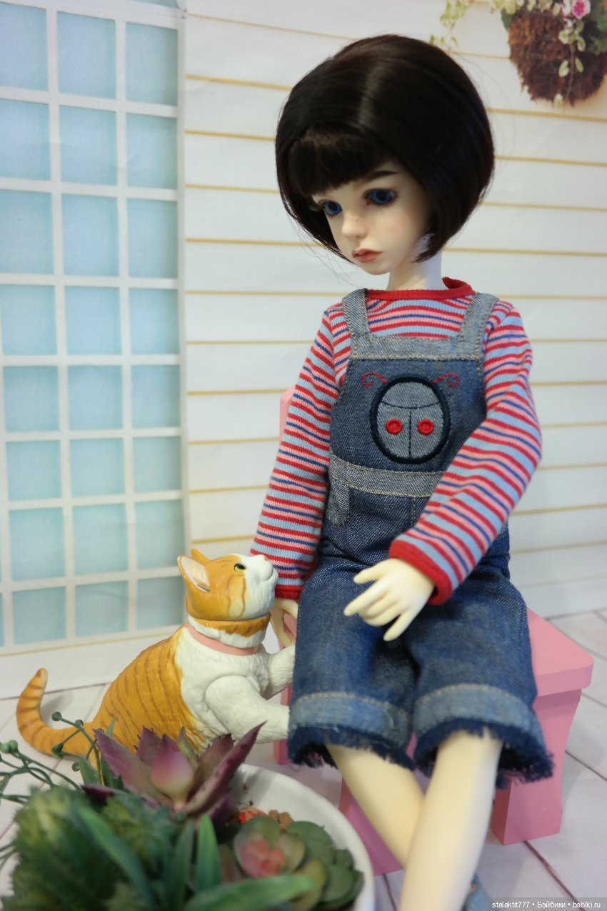 Алиса. Чуть романтичнее. И кот, конечно же кот