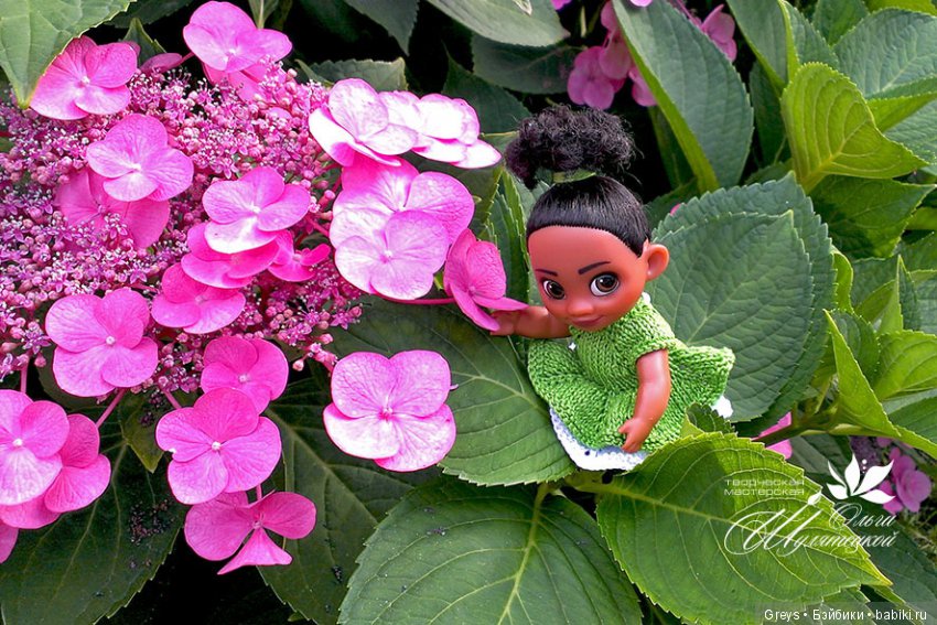 Приключения Моаны в стране гулливеров (фото 9)