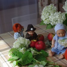 Лето в деревне . Зарисовки из нашей жизни с куклами