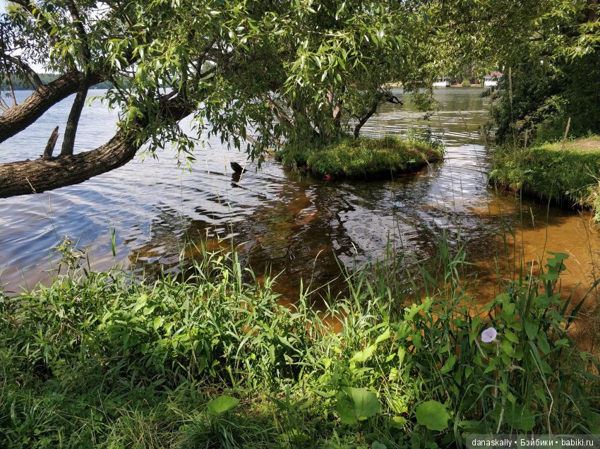 Как Сашка рыбачить в море ходил, а стал пиратом. Лето в деревне с минуш (фото 8)
