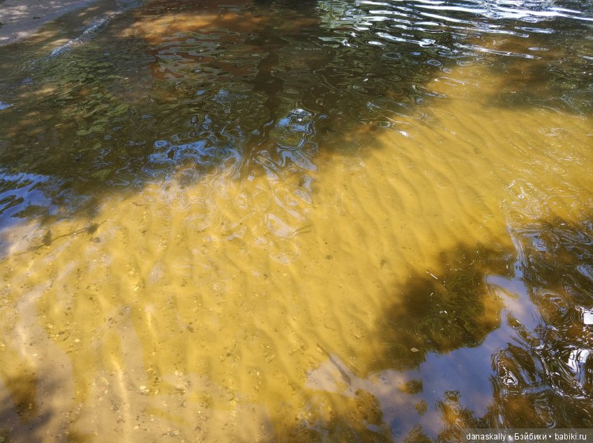 Как Сашка рыбачить в море ходил, а стал пиратом. Лето в деревне с минуш (фото 9)