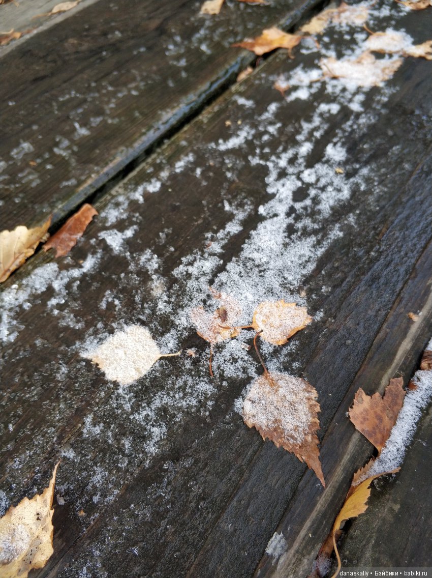 Воспоминания о Дуне Маклауд из клана Маклаудов. Бо, Тыква и дождь