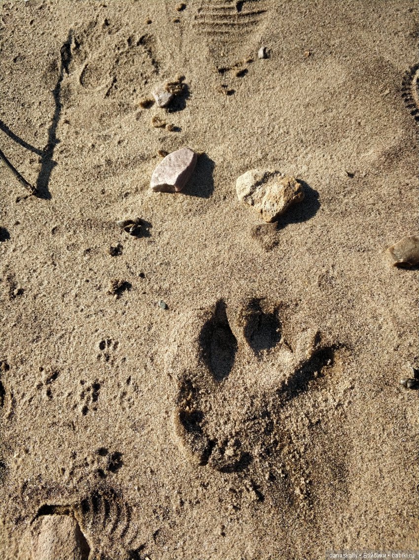 Интересные, необычные фотографии природы. Мир глазами жителя страны Бейбики