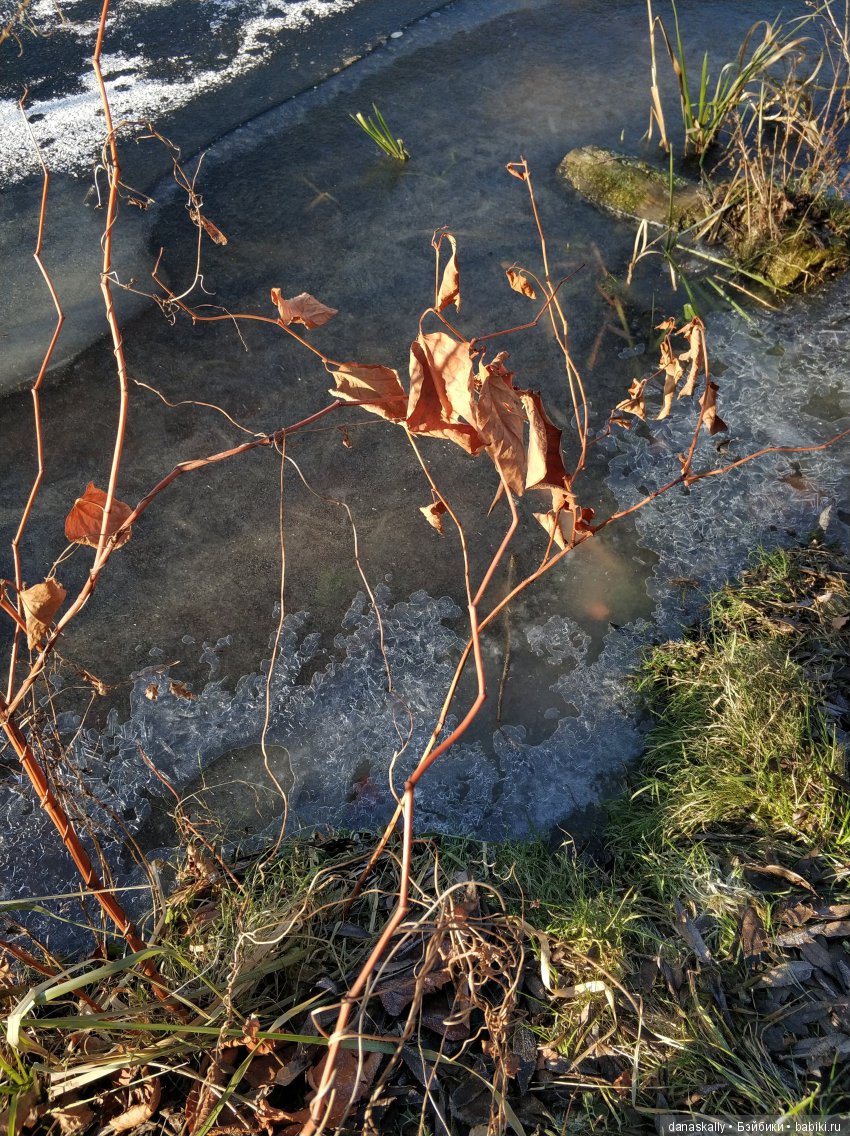 Интересные, необычные фотографии природы. Мир глазами жителя страны Бейбики