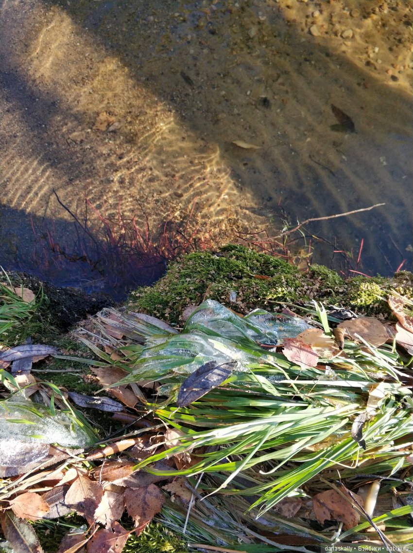 Интересные, необычные фотографии природы. Мир глазами жителя страны Бейбики