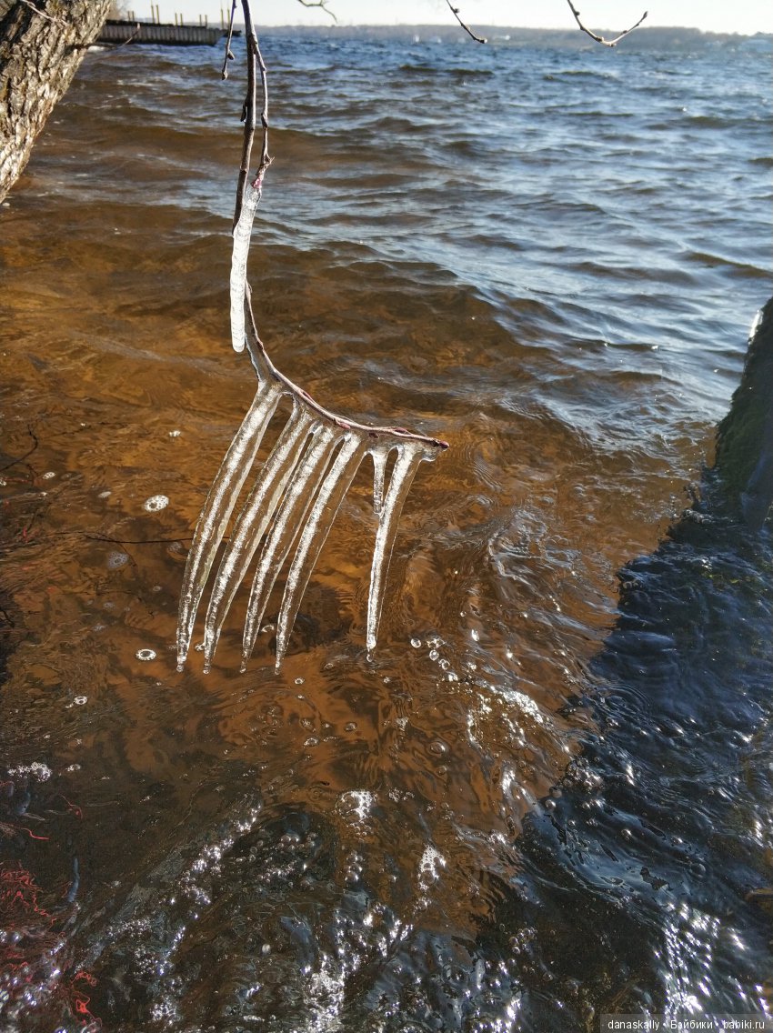 Интересные, необычные фотографии природы. Мир глазами жителя страны Бейбики (фото 9)
