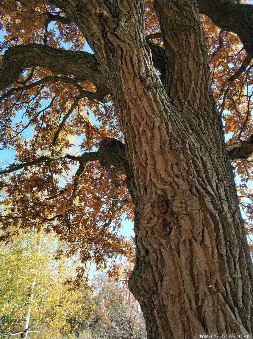 Интересные, необычные фотографии природы. Мир глазами жителя страны Бейбики (фото 4)