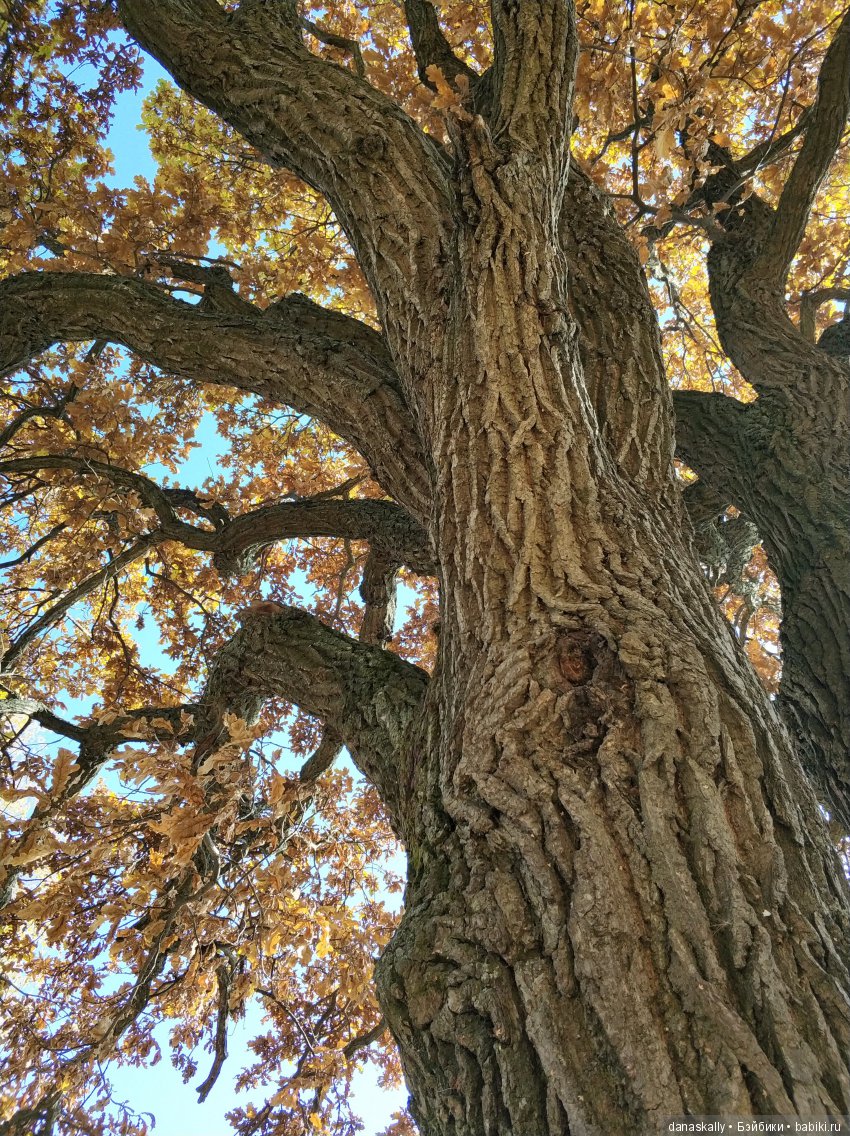 Интересные, необычные фотографии природы. Мир глазами жителя страны Бейбики (фото 5)