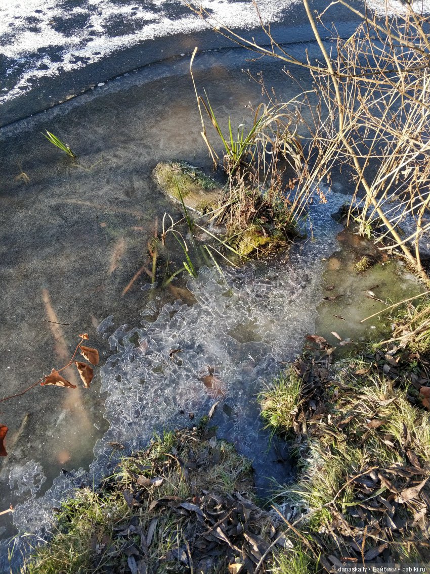 Интересные, необычные фотографии природы. Мир глазами жителя страны Бейбики (фото 10)