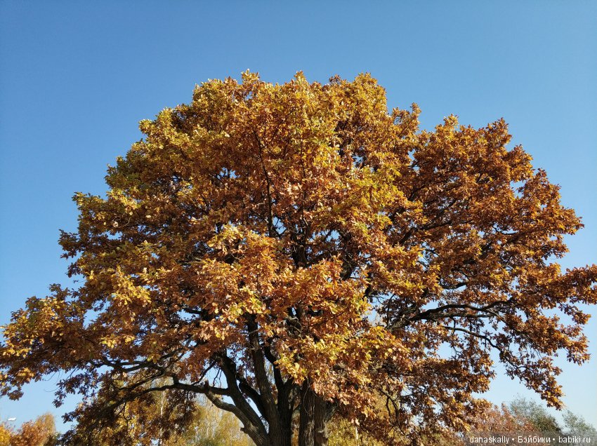 Интересные, необычные фотографии природы. Мир глазами жителя страны Бейбики (фото 3)