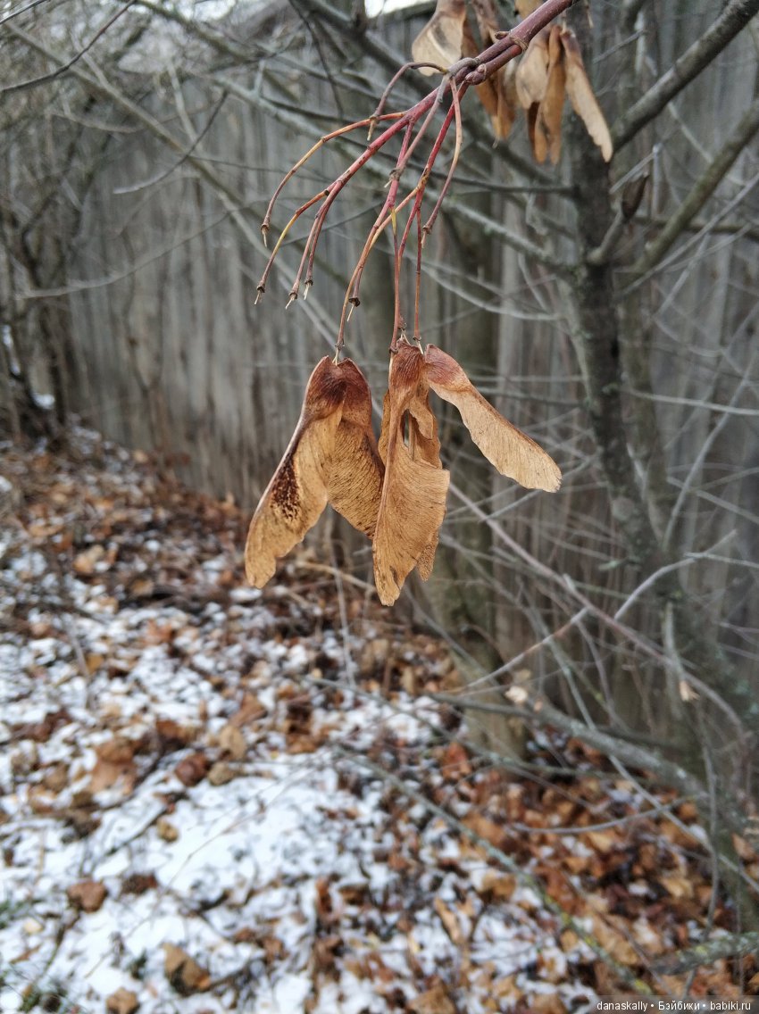 Интересные, необычные фотографии природы. Мир глазами жителя страны Бейбики