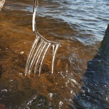 Интересные, необычные фотографии природы. Мир глазами жителя страны Бейбики