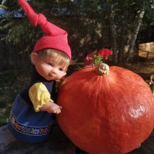 В нашем саду живут гномы! Улыбнитесь вместе с нами. Magic Baby, Lamagik