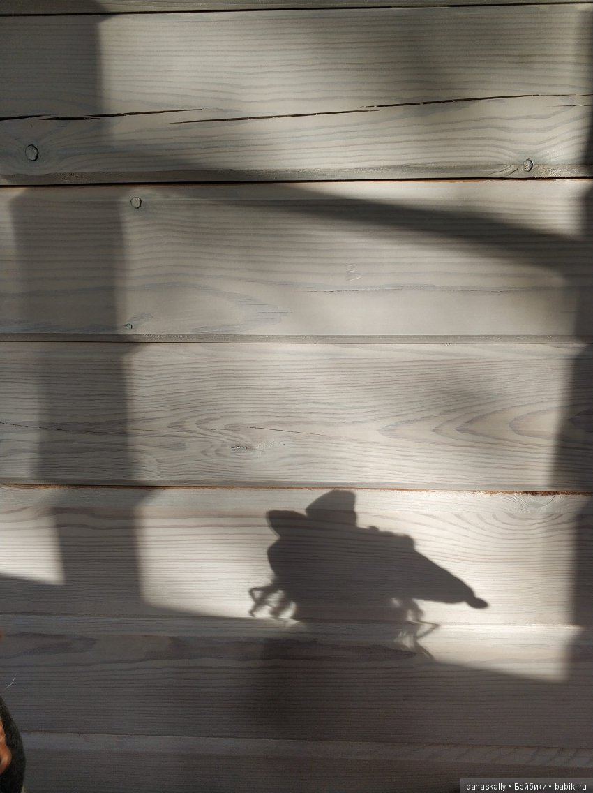 Свет и тени. Возвращение Ангела-хранителя дома в деревню и Глафира Петровна