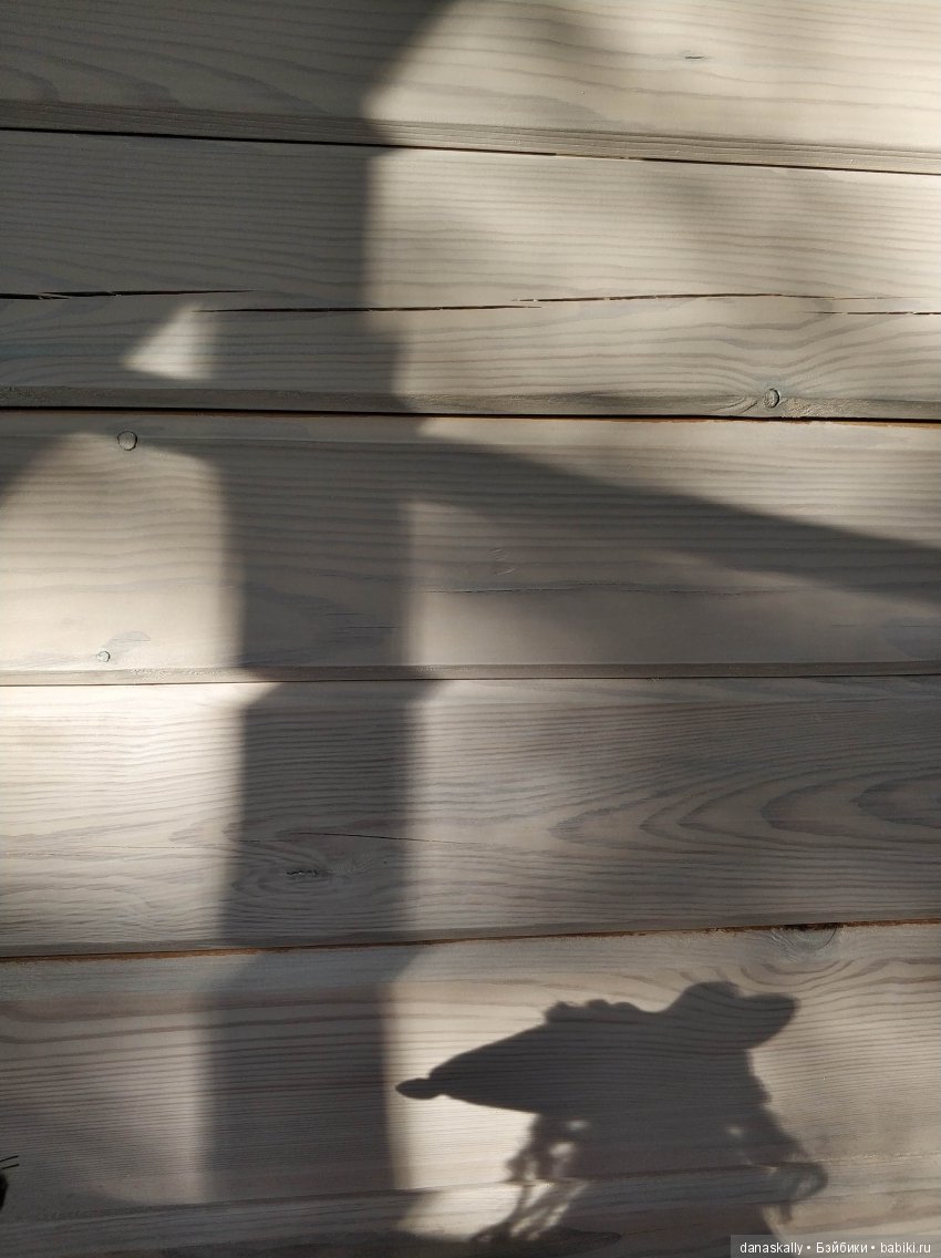 Свет и тени. Возвращение Ангела-хранителя дома в деревню и Глафира Петровна