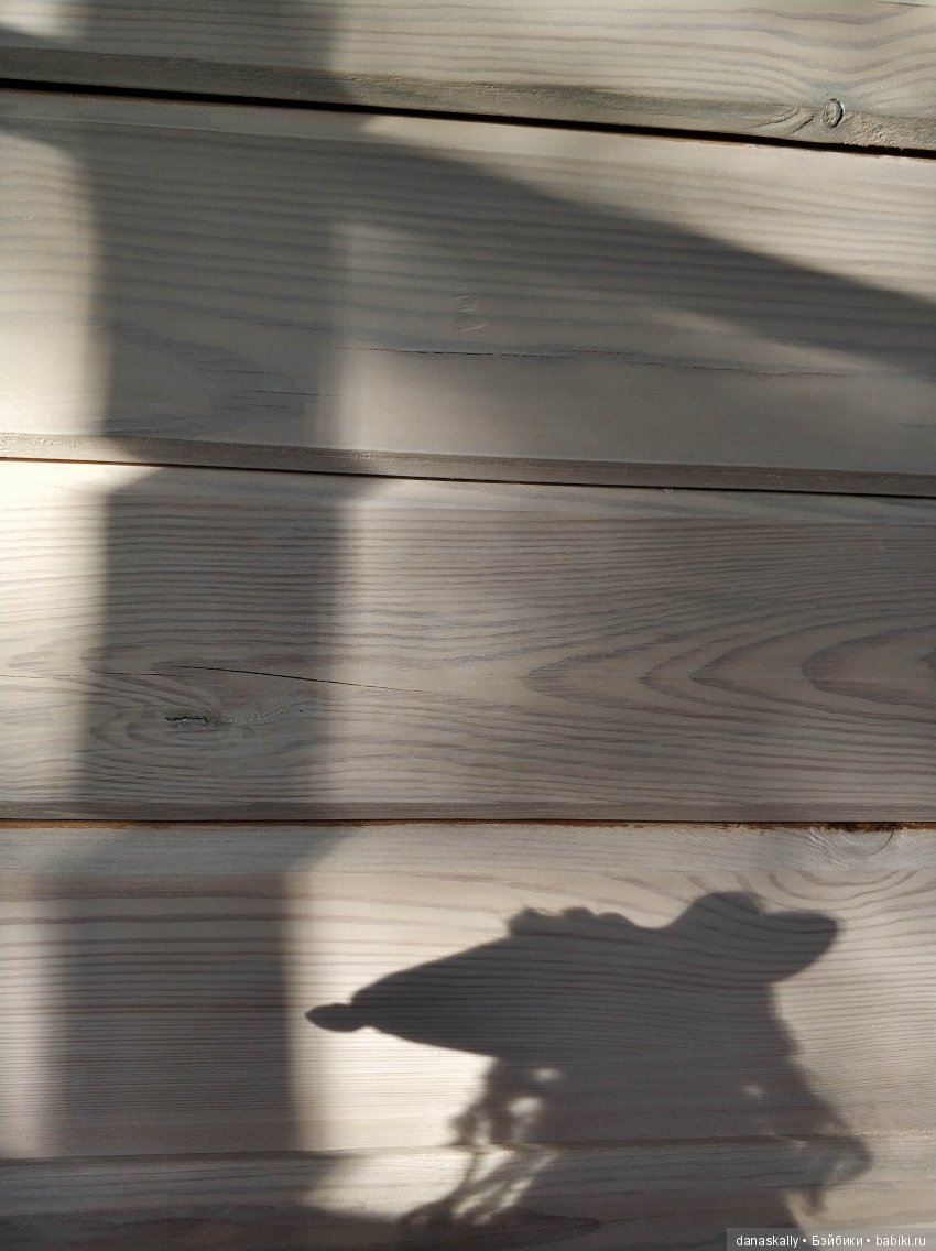 Свет и тени. Возвращение Ангела-хранителя дома в деревню и Глафира Петровна