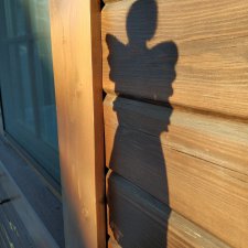 Свет и тени.  Возвращение Ангела-хранителя дома в деревню и Глафира Петровна