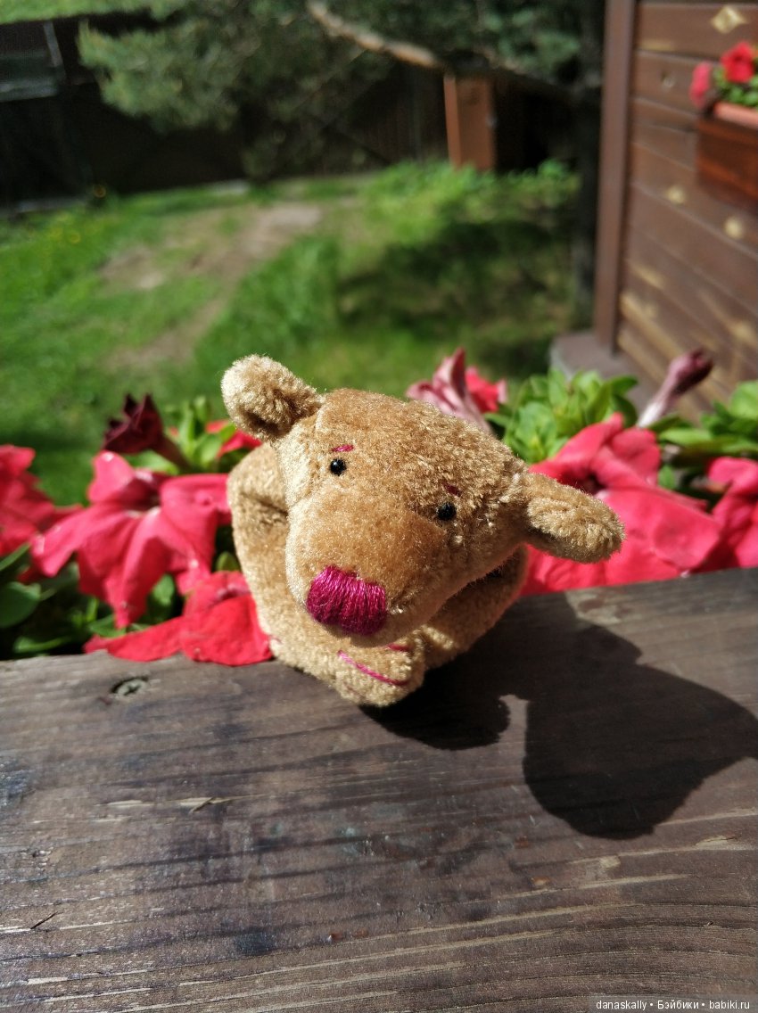 Чудо с глазами. Miggi от Zwergnase. Знакомство (фото 5)