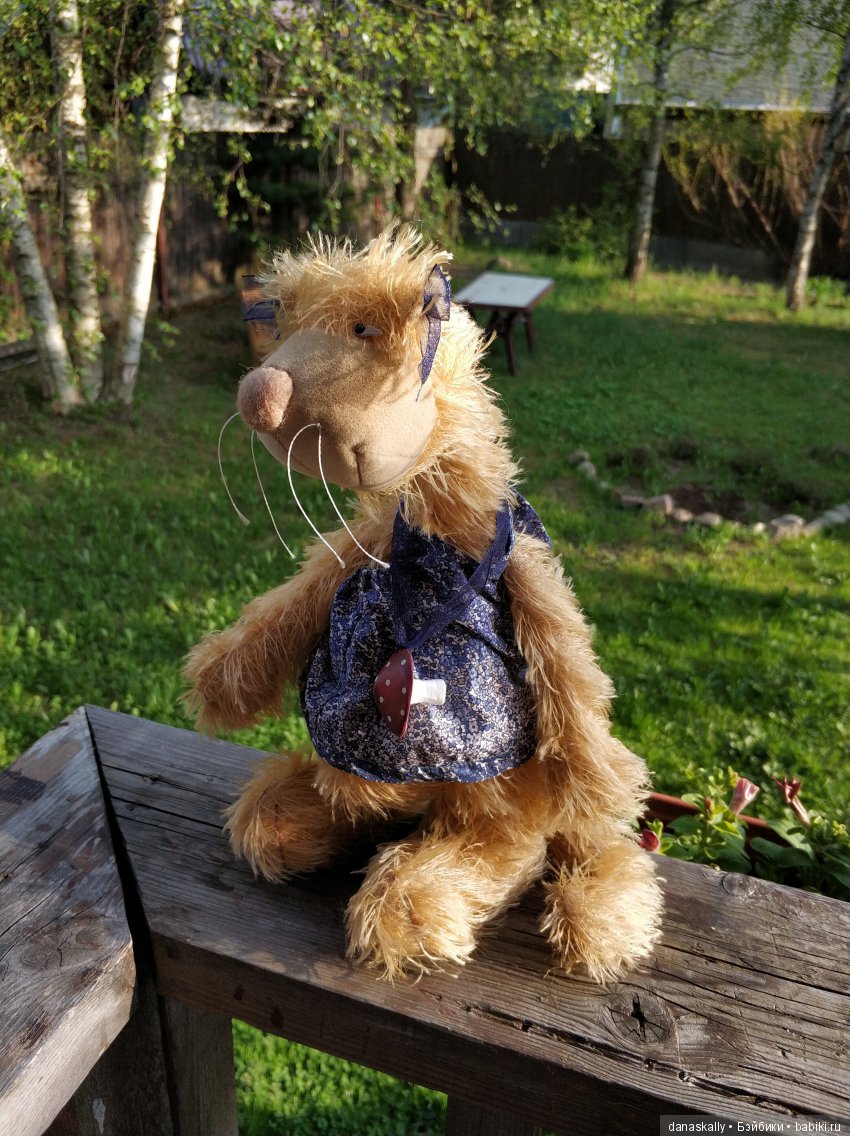 Джульетта в ожидании весны. Кошки от Zwergnase в нашей деревне (фото 7)