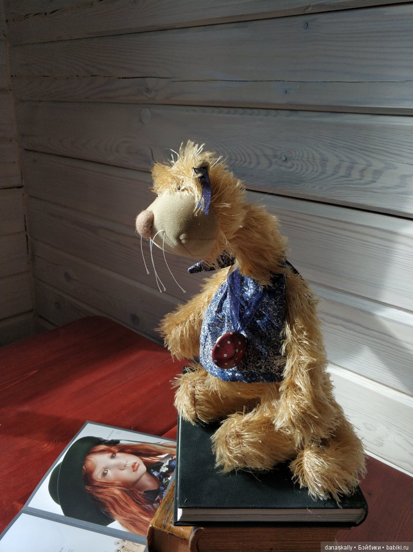 Джульетта в ожидании весны. Кошки от Zwergnase в нашей деревне (фото 4)