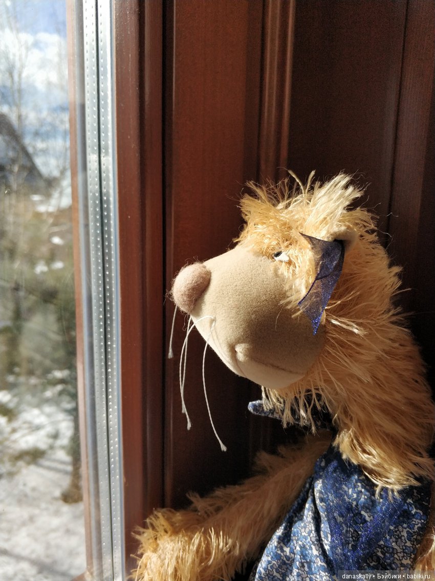 Джульетта в ожидании весны. Кошки от Zwergnase в нашей деревне (фото 2)