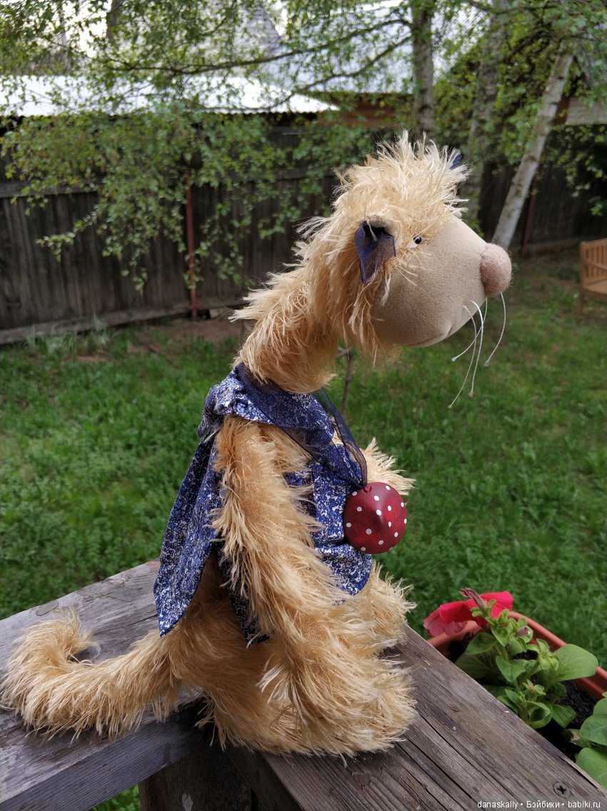 Джульетта в ожидании весны. Кошки от Zwergnase в нашей деревне (фото 5)