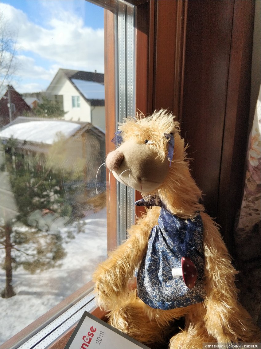 Джульетта в ожидании весны. Кошки от Zwergnase в нашей деревне (фото 3)