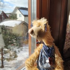 Джульетта в ожидании  весны.  Кошки от Zwergnase  в нашей  деревне