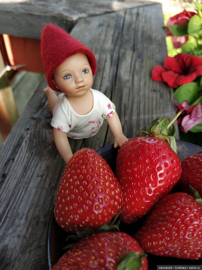 Маленькая гномочка, Юлиус. Птеродактиль и яйцо дракона. Гномы из Дании в нашей деревне