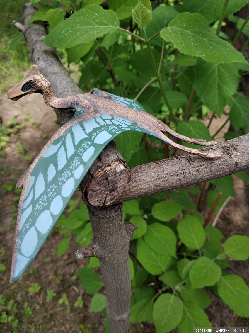 Маленькая гномочка, Юлиус. Птеродактиль и яйцо дракона. Гномы из Дании в нашей деревне