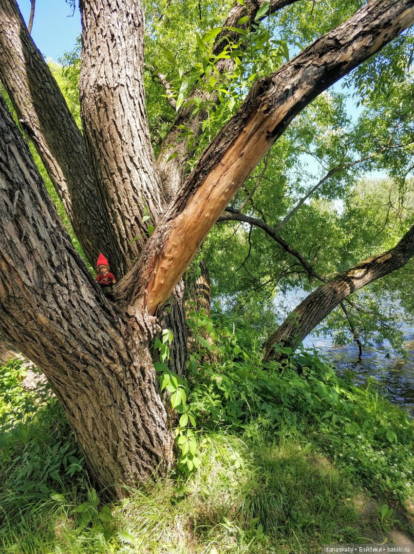 Маленькая гномочка, Юлиус. Птеродактиль и яйцо дракона. Гномы из Дании в нашей деревне