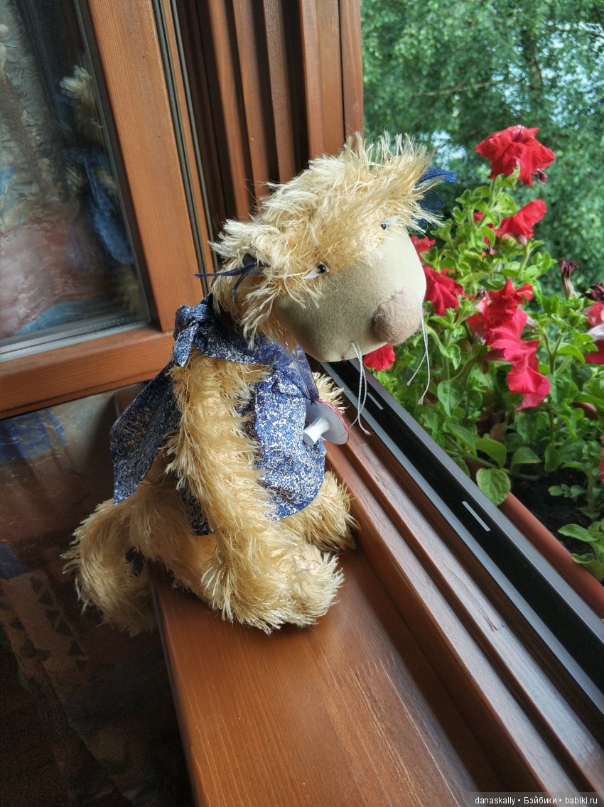 Кошка под дождем. Джульетта от Цвергназе (фото 5)