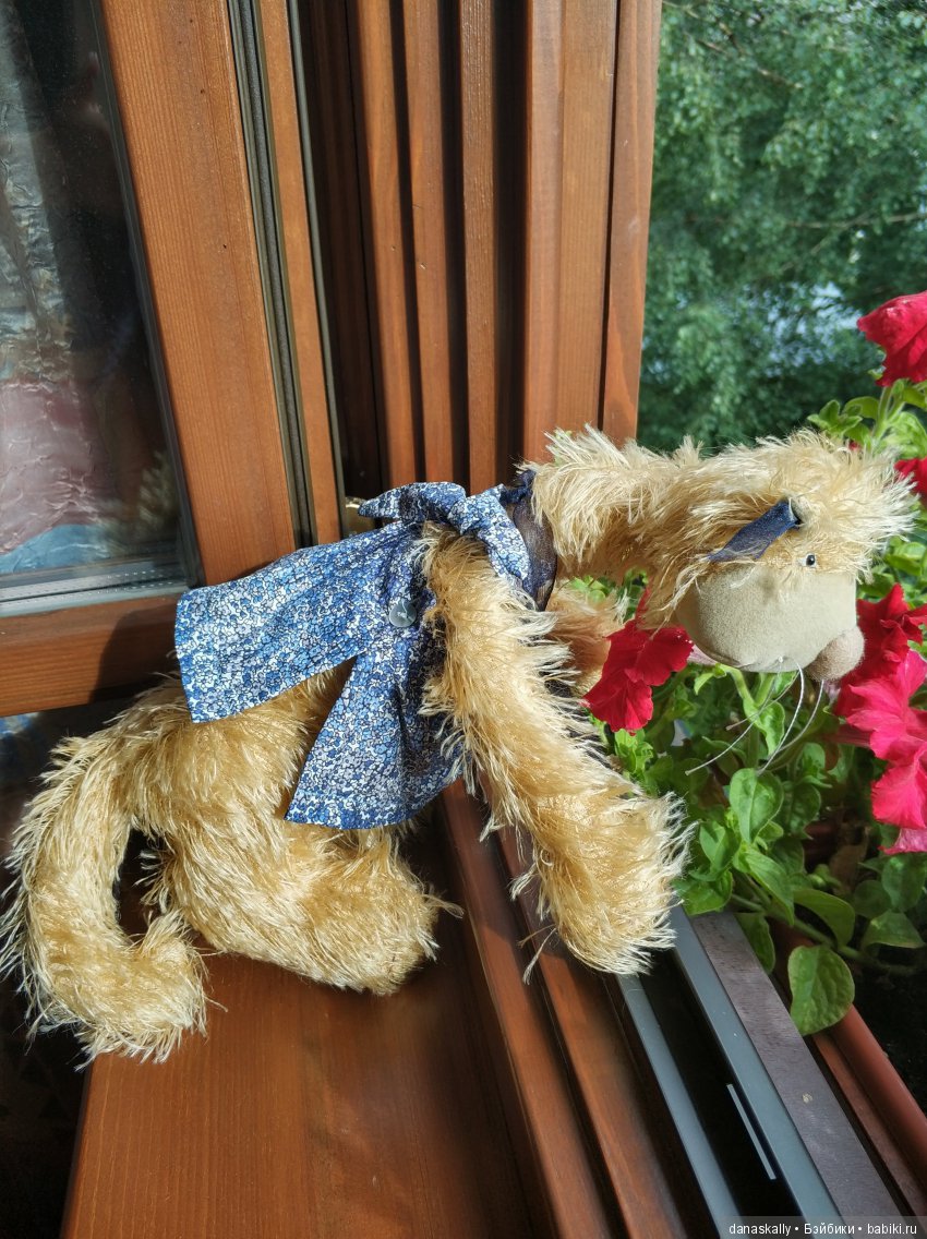 Кошка под дождем. Джульетта от Цвергназе (фото 6)