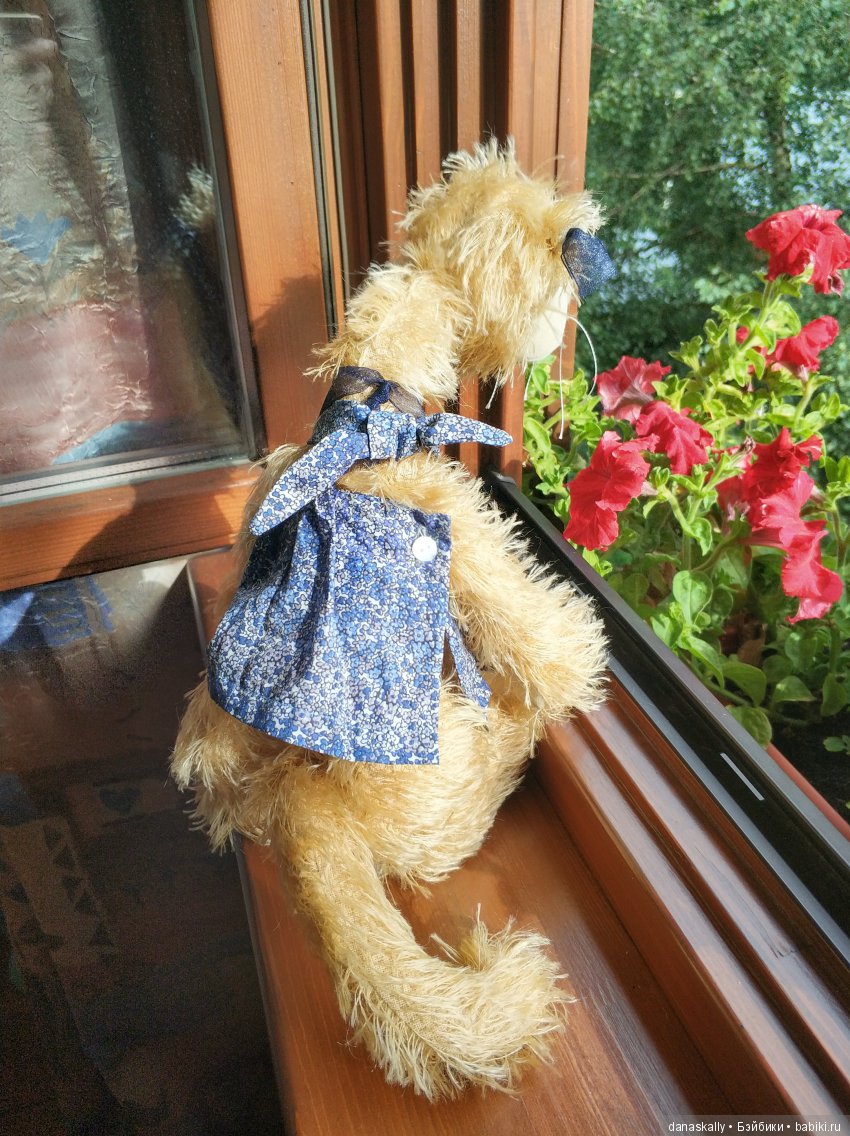 Кошка под дождем. Джульетта от Цвергназе (фото 7)