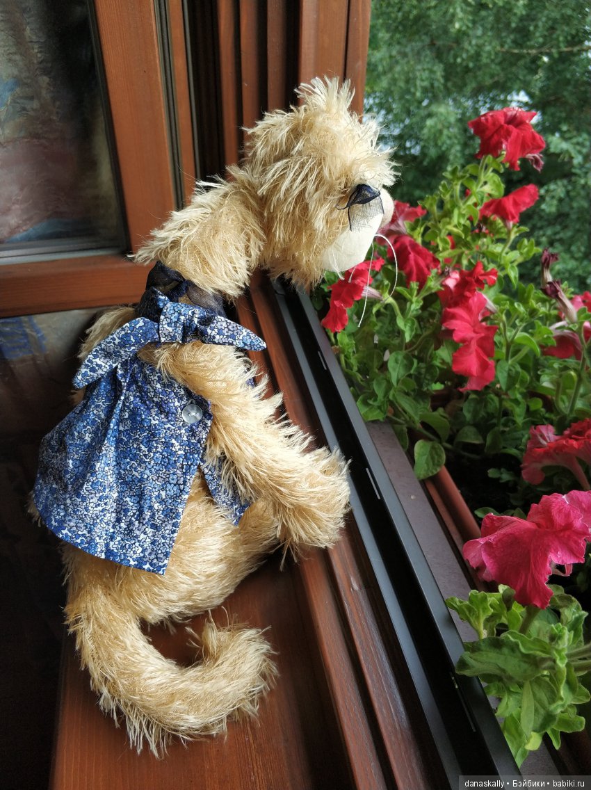 Кошка под дождем. Джульетта от Цвергназе (фото 4)