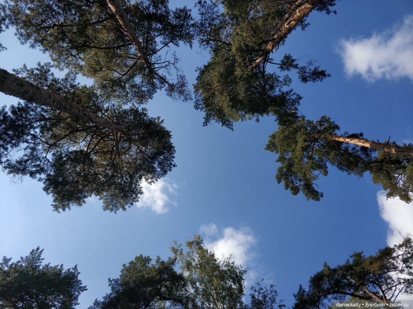 Лизхен с веснушками. Ёлка и Мышь. Часть 2