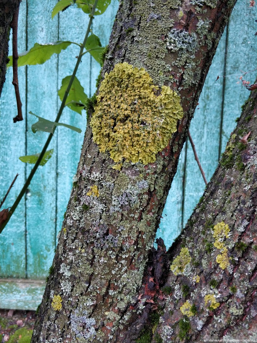 Долгая дорога Дуни. "Стоял весенний месяц март..."