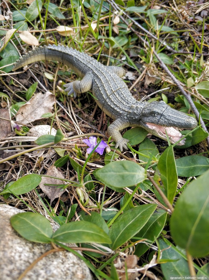 Лизхен и шляпа волшебника