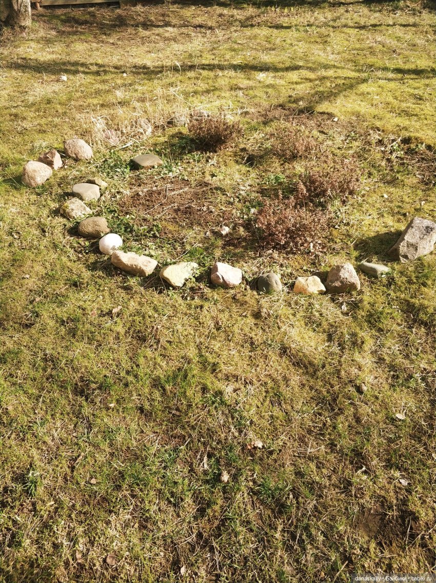 Лизхен и шляпа волшебника (фото 8)