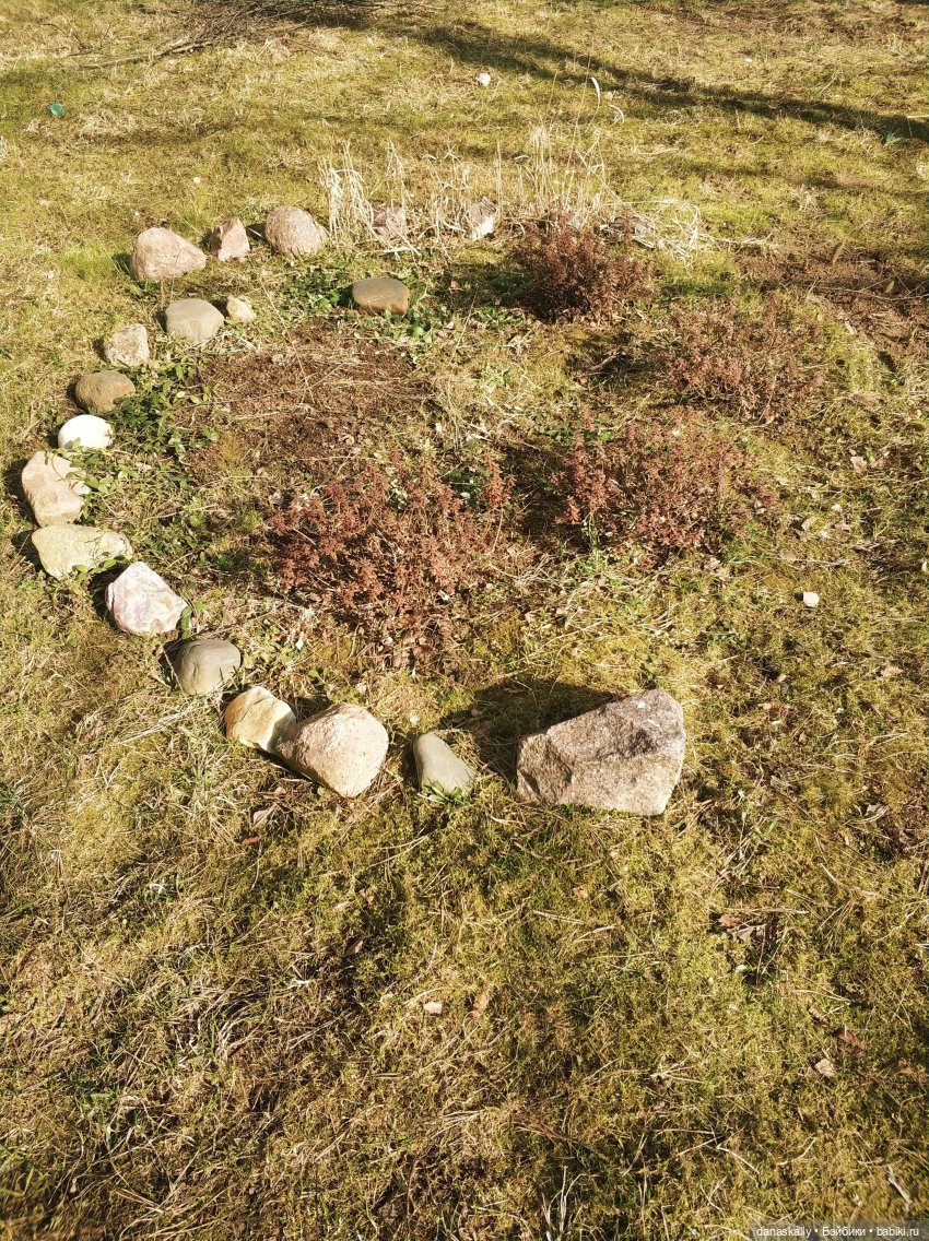 Лизхен и шляпа волшебника (фото 9)