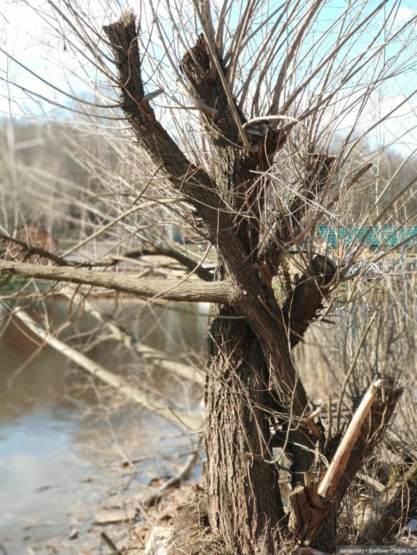 Лизхен и шляпа волшебника