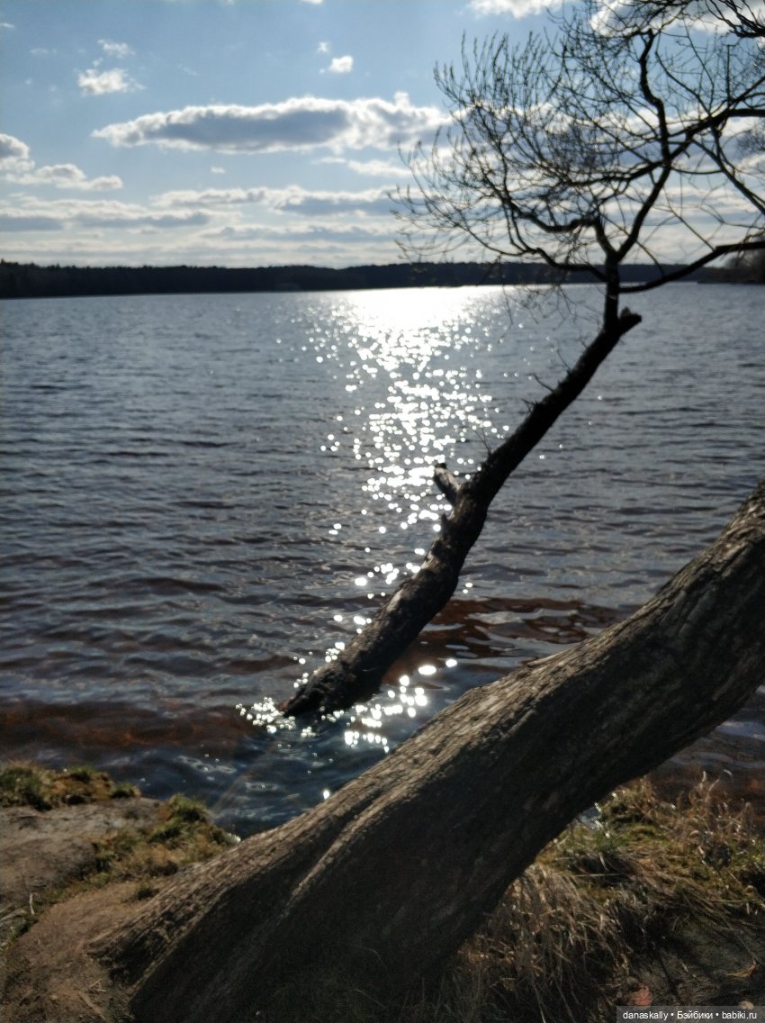 Лизхен и шляпа волшебника