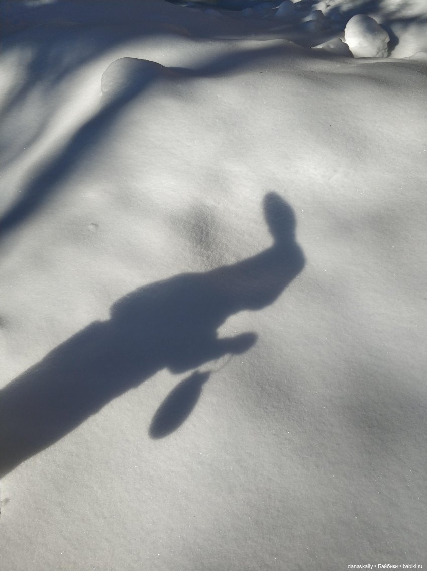 Инес от Ute Kase Lepp и Белый Кролик. Неожиданная встреча