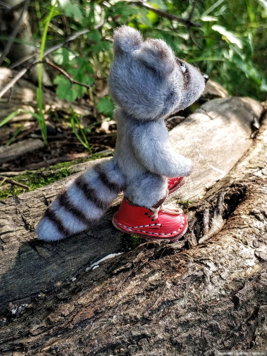 Как мы лето провожали. Время Зорро. Явление героя