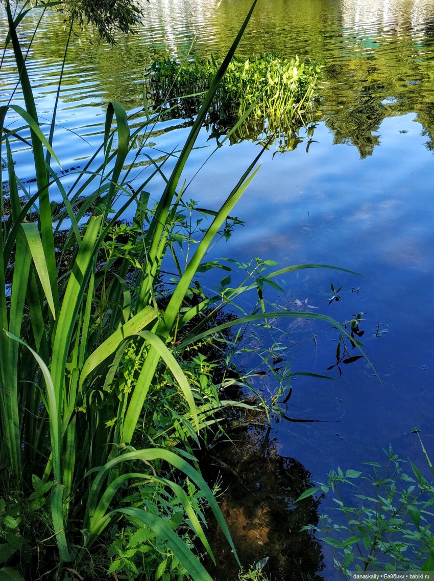 Как мы лето провожали. Время Зорро. Явление героя